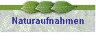 Naturaufnahmen
