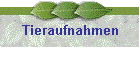 Tieraufnahmen
